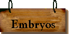 Embryos