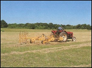 Caney Creek Ranch - Nutriment Rich Hay