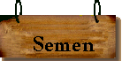 Semen