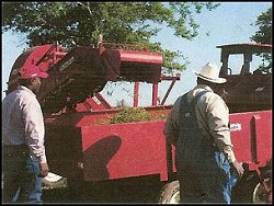 Hay and Grass Services - Caney Creek Ranch Oakwood, Texas