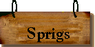 Grass Sprigs